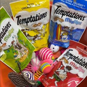 Cat treats and toys